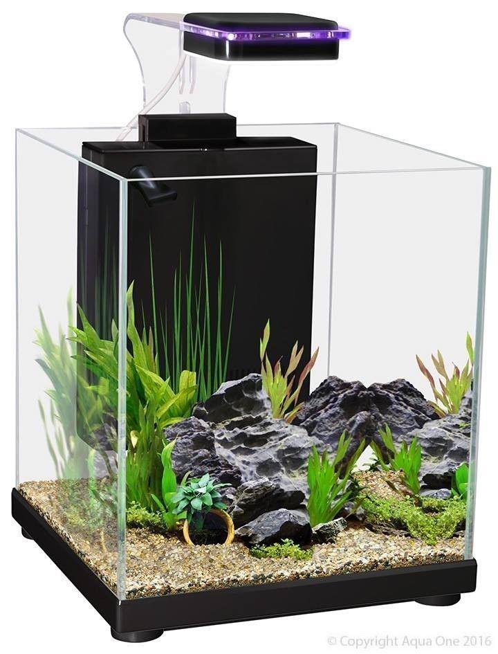 Aqua One Betta Fighter Fish Sanctuary Black FOR SALE,